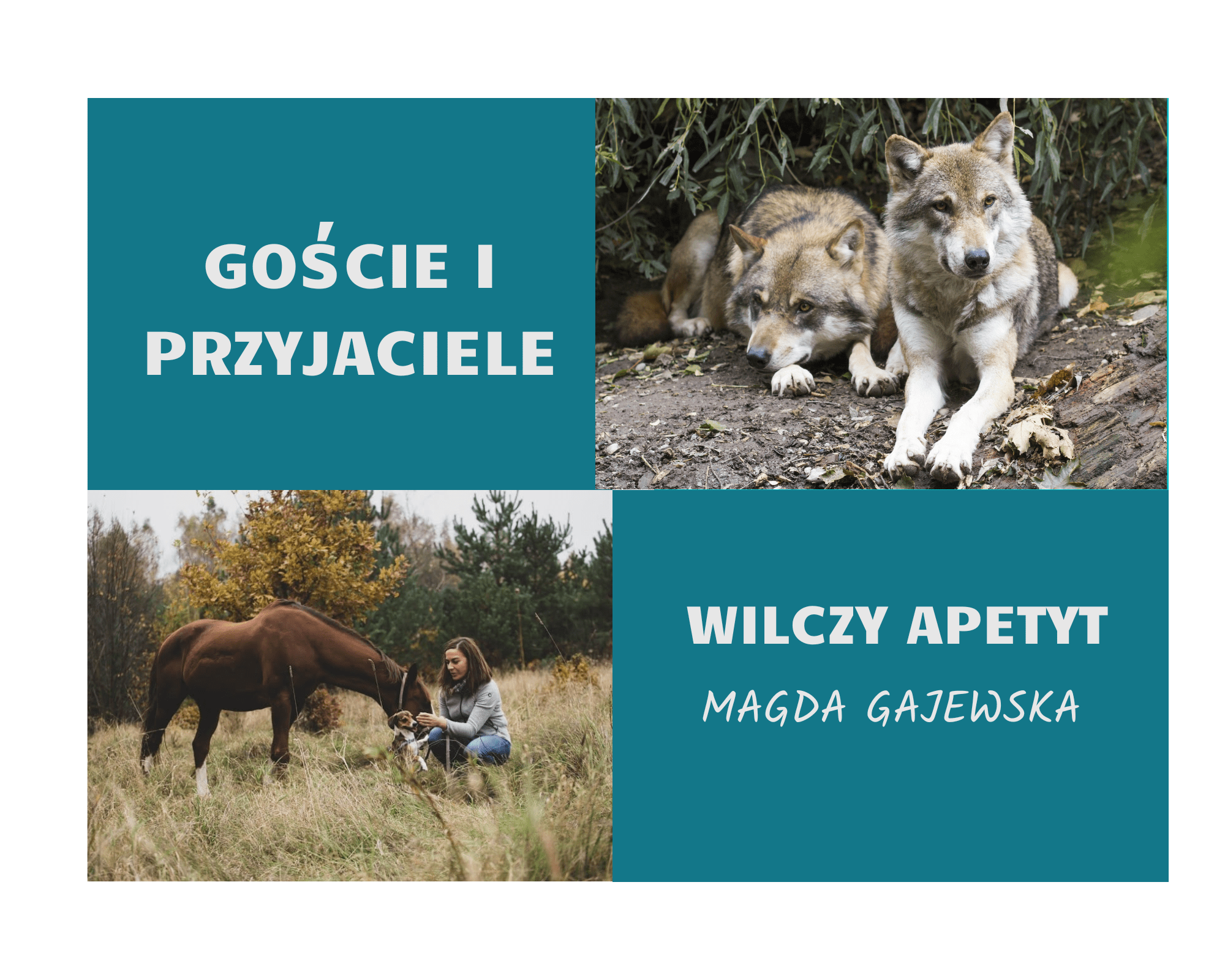 Wilczy apetyt. Gościnnie artykuł Magdaleny Gajewskiej.